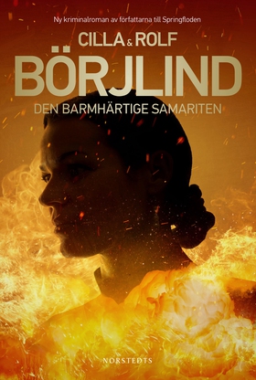 Den barmhärtige samariten (e-bok) av Rolf Börjl