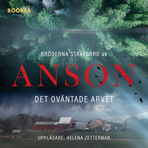 Bröderna Staafsbro: Det oväntade arvet (e-bok)