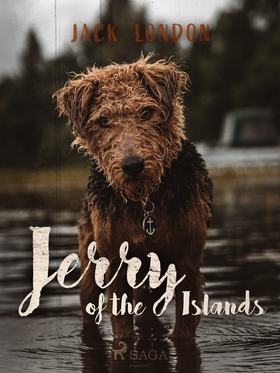 Jerry of the Islands (e-bok) av Jack London