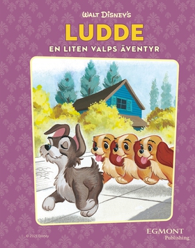 Ludde. En liten valps äventyr (e-bok) av Annie 