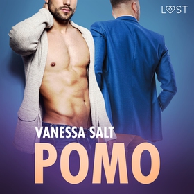 Pomo - eroottinen novelli (ljudbok) av Vanessa 
