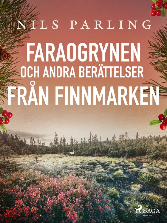 Faraogrynen och andra berättelser från Finnmarken