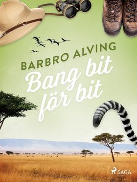 Bang bit för bit (e-bok) av Barbro Alving