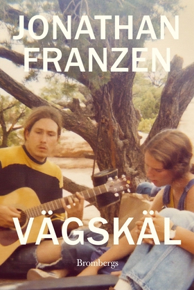 Vägskäl (e-bok) av Jonathan Franzen