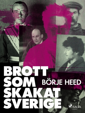 Brott som skakat Sverige (e-bok) av Börje Heed