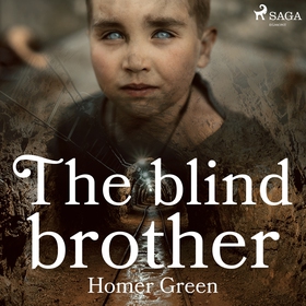 The Blind Brother (ljudbok) av Homer Green