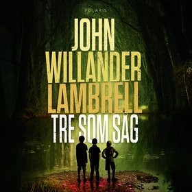 Tre som såg (ljudbok) av John Willander Lambrel