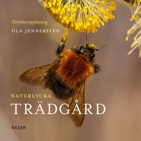Naturlycka - Trädgård (ljudbok) av Ola Jennerst