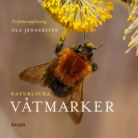 Naturlycka - Våtmarker (ljudbok) av Ola Jenners