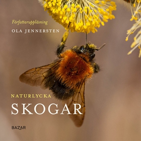 Naturlycka - Skogar (ljudbok) av Ola Jennersten