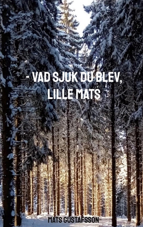 -VAD SJUK DU BLEV, LILLE MATS (e-bok) av Mats G