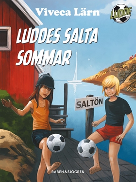 Luddes salta sommar (e-bok) av Viveca Lärn