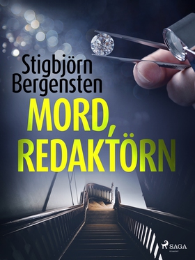 Mord, redaktörn (e-bok) av Stigbjörn Bergensten