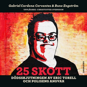 25 skott : Dödsskjutningen av Eric Torell och p