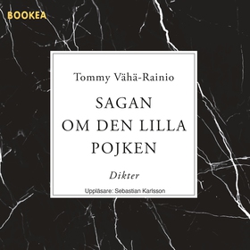 Sagan om den lilla pojken (ljudbok) av Tommy Vä
