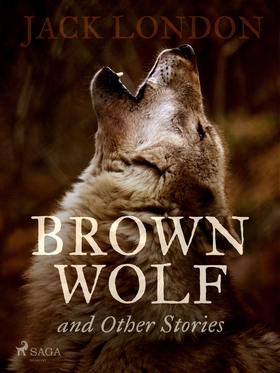 Brown Wolf and Other Stories (e-bok) av Jack Lo