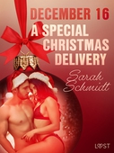 December 16: A Special Christmas Delivery – An Erotic Christmas Calendar