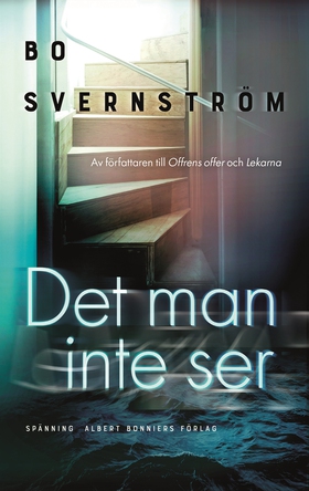Det man inte ser (e-bok) av Bo Svernström