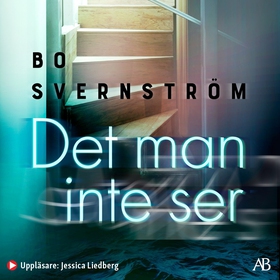 Det man inte ser (ljudbok) av Bo Svernström