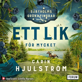 Ett lik för mycket (ljudbok) av Carin Hjulström