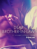 Dear Brother-in-law - 11 steamy stories from Erika Lust