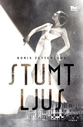 Stumt ljus (e-bok) av Boris Zetterlund