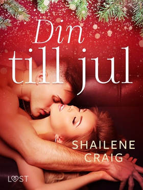 Din till jul - erotisk julnovell (e-bok) av Sha