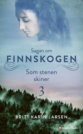 Som stenen skiner (e-bok) av Britt Karin Larsen