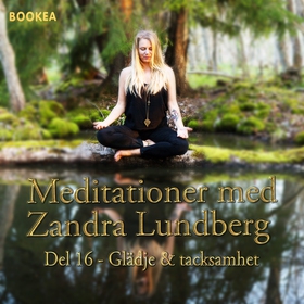 Glädje & tacksamhet (ljudbok) av Zandra Lundber