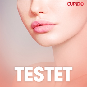Testet - erotiska noveller (ljudbok) av Cupido