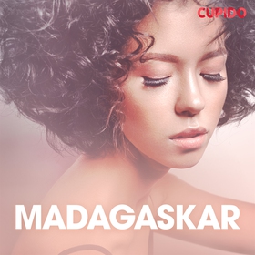 Madagaskar – erotiska noveller (ljudbok) av Cup
