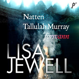 Natten Tallulah Murray försvann (ljudbok) av Li