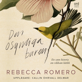 Den osynliga buren (ljudbok) av Rebecca Romero