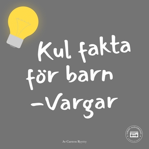 Kul fakta för barn: Vargar (ljudbok) av Carsten