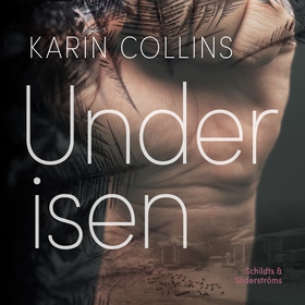Under isen (ljudbok) av Karin Collins