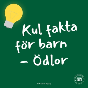 Kul fakta för barn: Ödlor (ljudbok) av Carsten