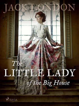 The Little Lady of the Big House (e-bok) av Jac