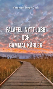 Falafel, nytt jobb och gammal kärlek (e-bok) av