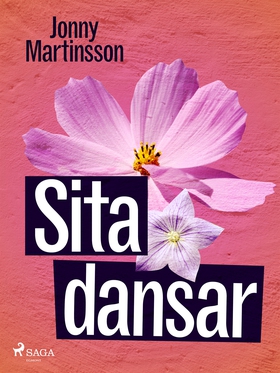Sita dansar (e-bok) av Jonny Martinsson