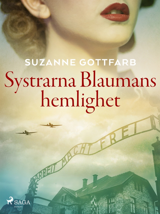 Systrarna Blaumans hemlighet (e-bok) av Suzanne Gottfarb