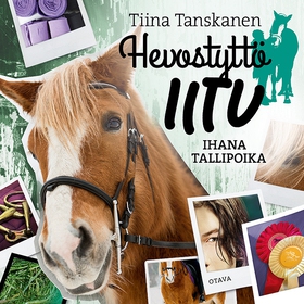 Ihana tallipoika (ljudbok) av Tiina Tanskanen