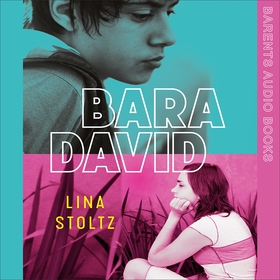 Bara David (ljudbok) av Lina Stoltz
