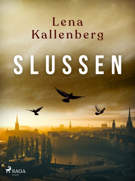 Slussen (e-bok) av Lena Kallenberg