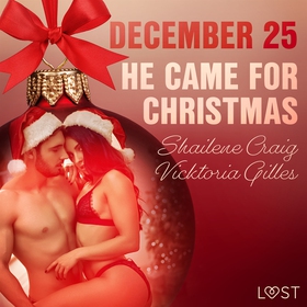 December 25: He Came for Christmas - An Erotic 