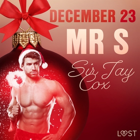 December 23: Mr S – An Erotic Christmas Calenda