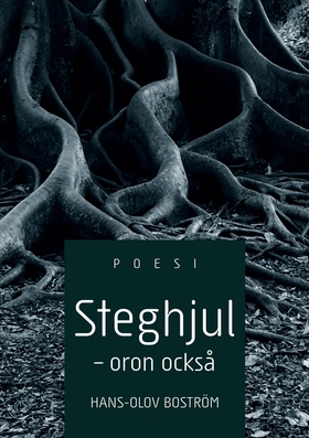 Steghjul - Oron också (e-bok) av Hans-Olov Bost