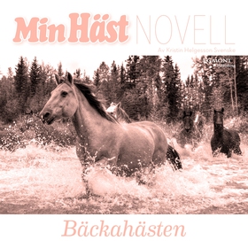 Bäckahästen (ljudbok) av Kristin Helgesson Sven
