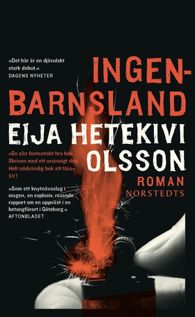 Ingenbarnsland (e-bok) av Eija Hetekivi Olsson