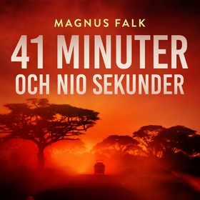 41 minuter och nio sekunder (ljudbok) av Magnus