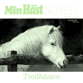 Trollhästen (ljudbok) av Malin Eriksson